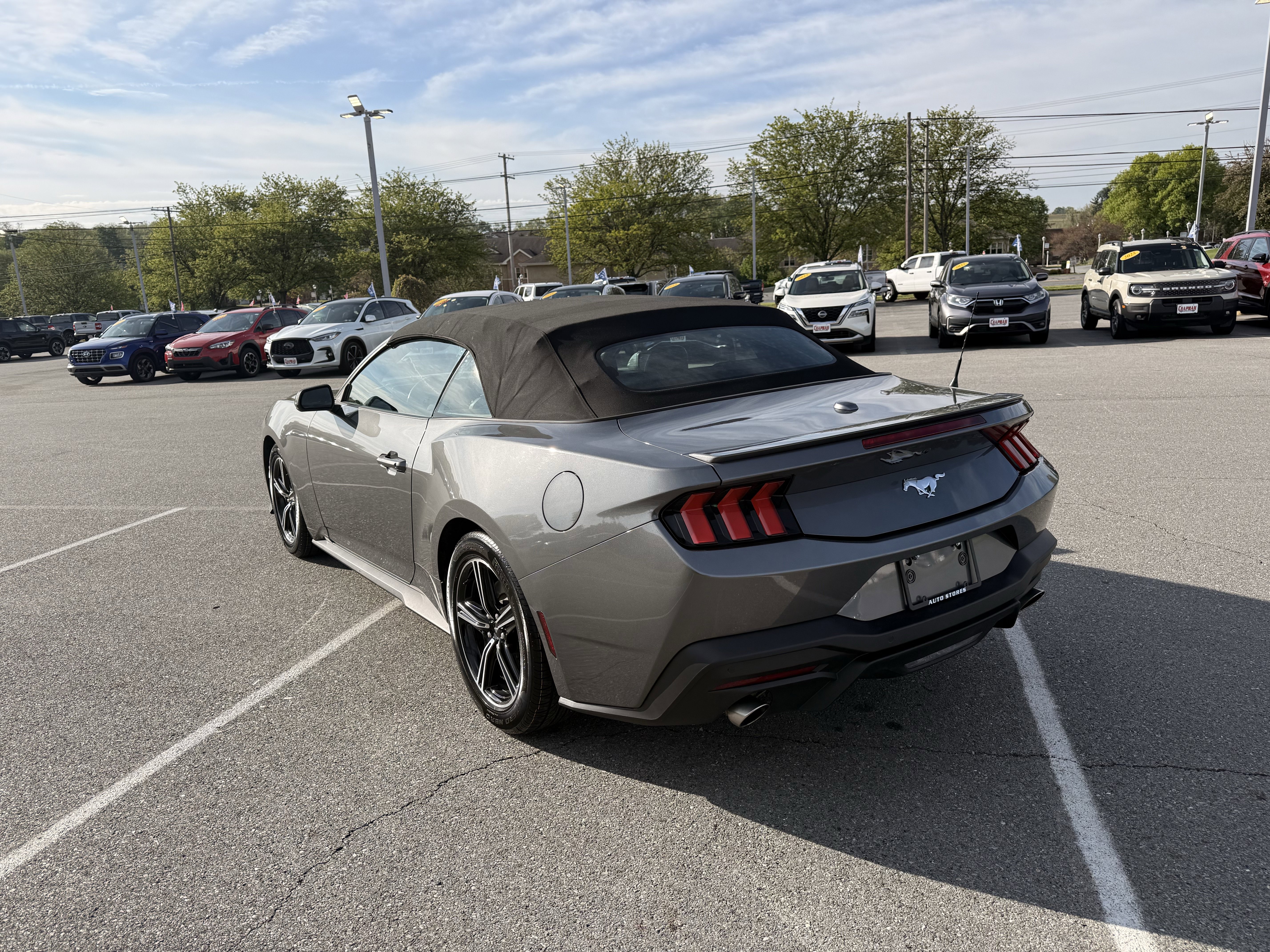 Certified 2025 Ford Mustang Premium RWD image 6