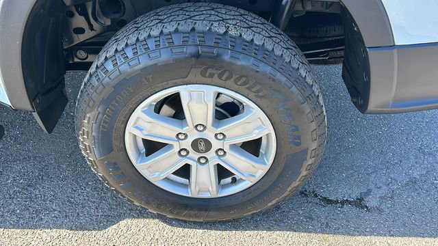 Certified 2024 Ford Ranger XL image 6