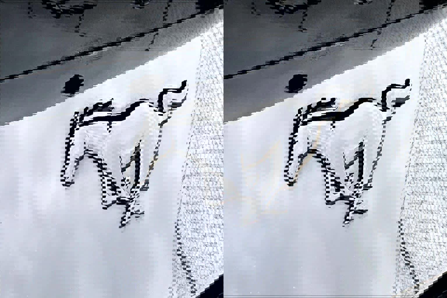 Certified 2025 Ford Mustang Premium image 31