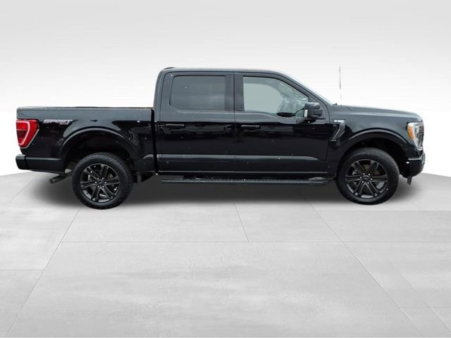 Certified 2022 Ford F150 XLT w/ Equipment Group 302A High image 7