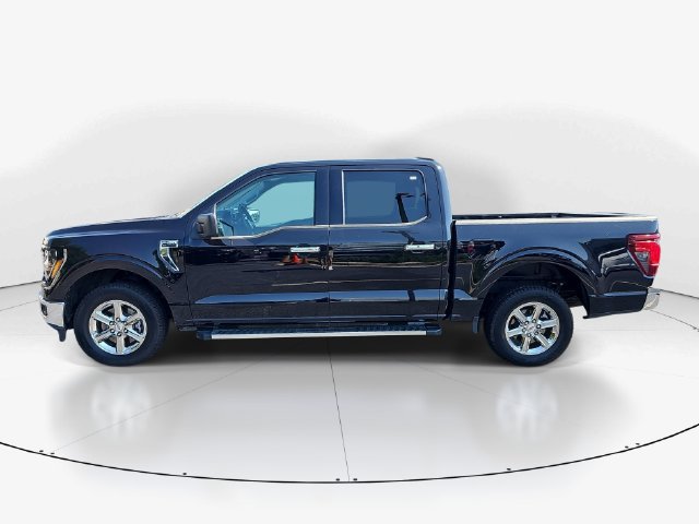 Certified 2025 Ford F150 XLT w/ Equipment Group 301A Standard RWD image 8