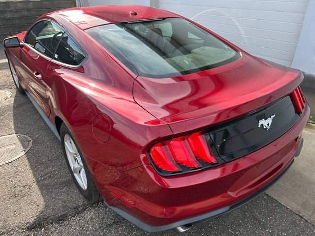 Certified 2019 Ford Mustang Coupe RWD image 4