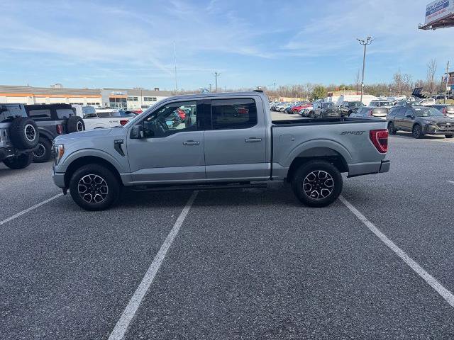 Certified 2023 Ford F150 XLT w/ Equipment Group 302A High AWD/4WD image 5