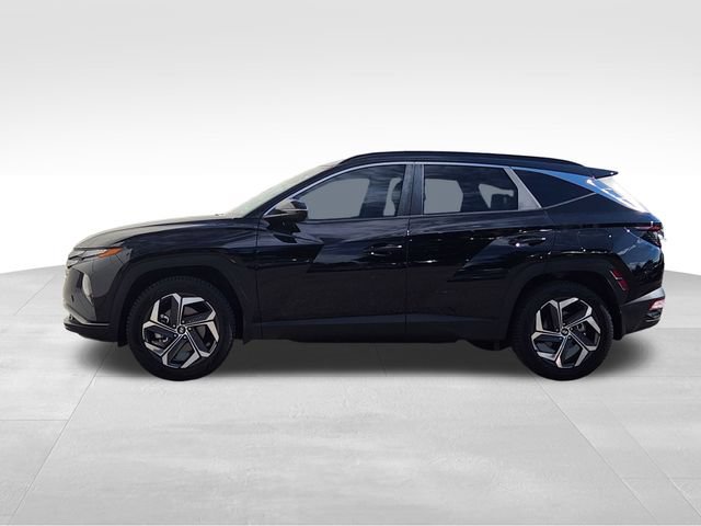 Used 2023 Hyundai Tucson SEL AWD/4WD image 6