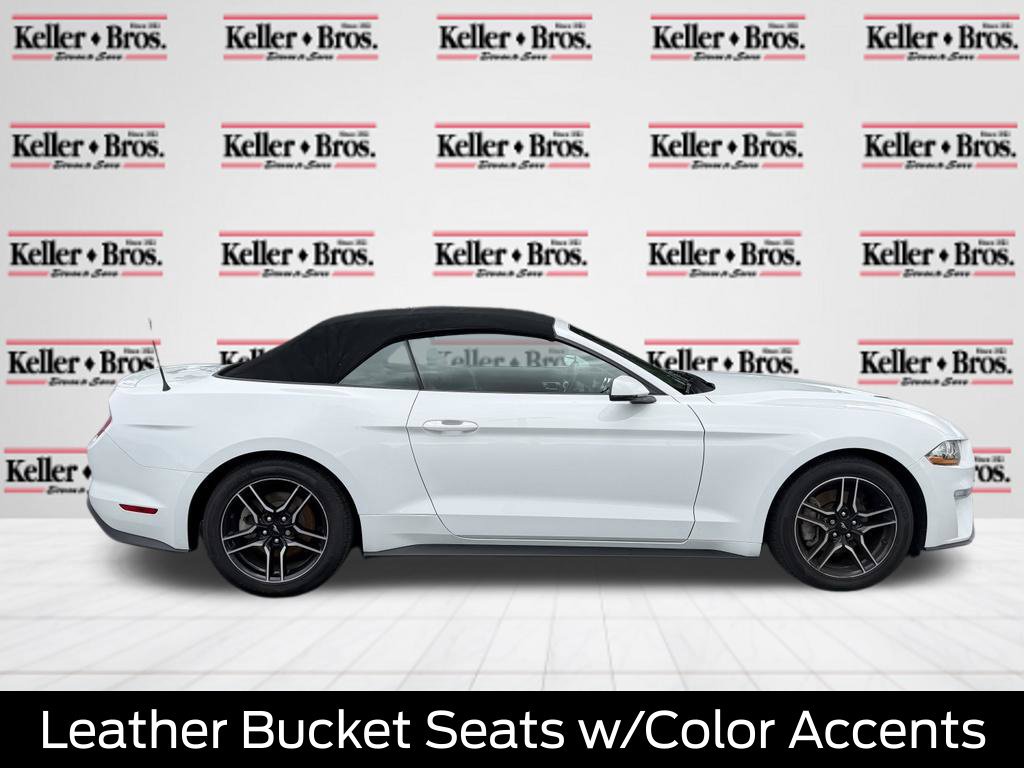 Certified 2019 Ford Mustang Premium w/ Equipment Group 201A RWD image 8