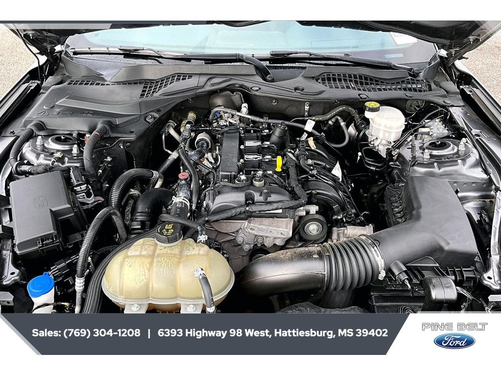 Certified 2021 Ford Mustang Coupe w/ Equipment Group 101A RWD image 8