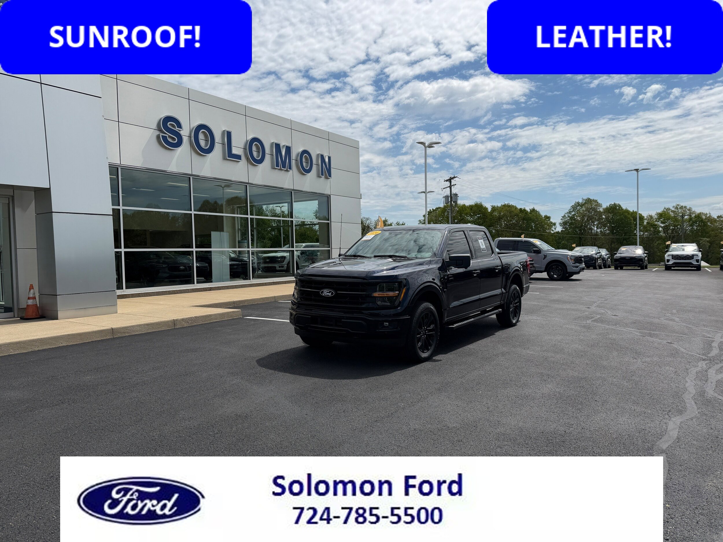 Certified 2024 Ford F150 XLT w/ Equipment Group 303A High