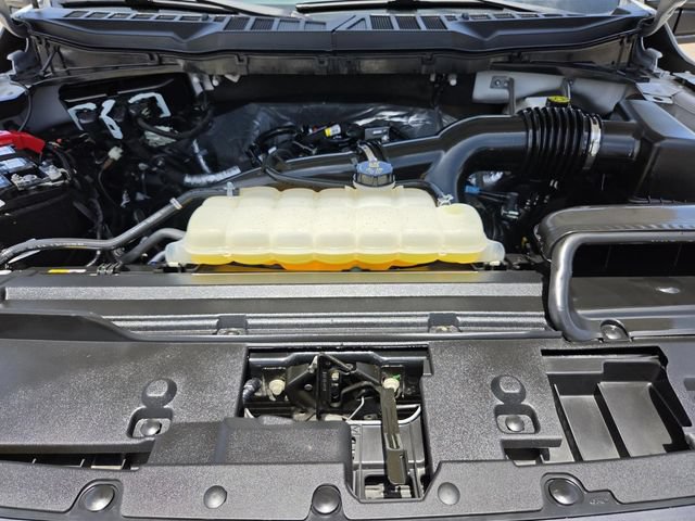Certified 2025 Ford F150 STX RWD image 26