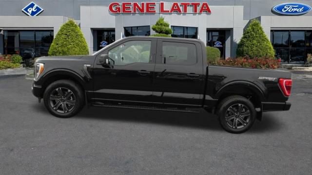 Certified 2023 Ford F150 XLT w/ Equipment Group 302A High video 2