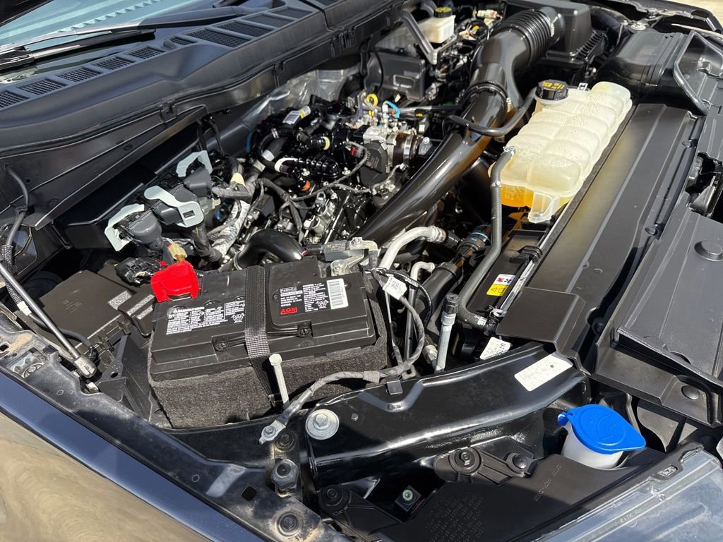 Certified 2023 Ford F150 XL w/ STX Appearance Package image 33