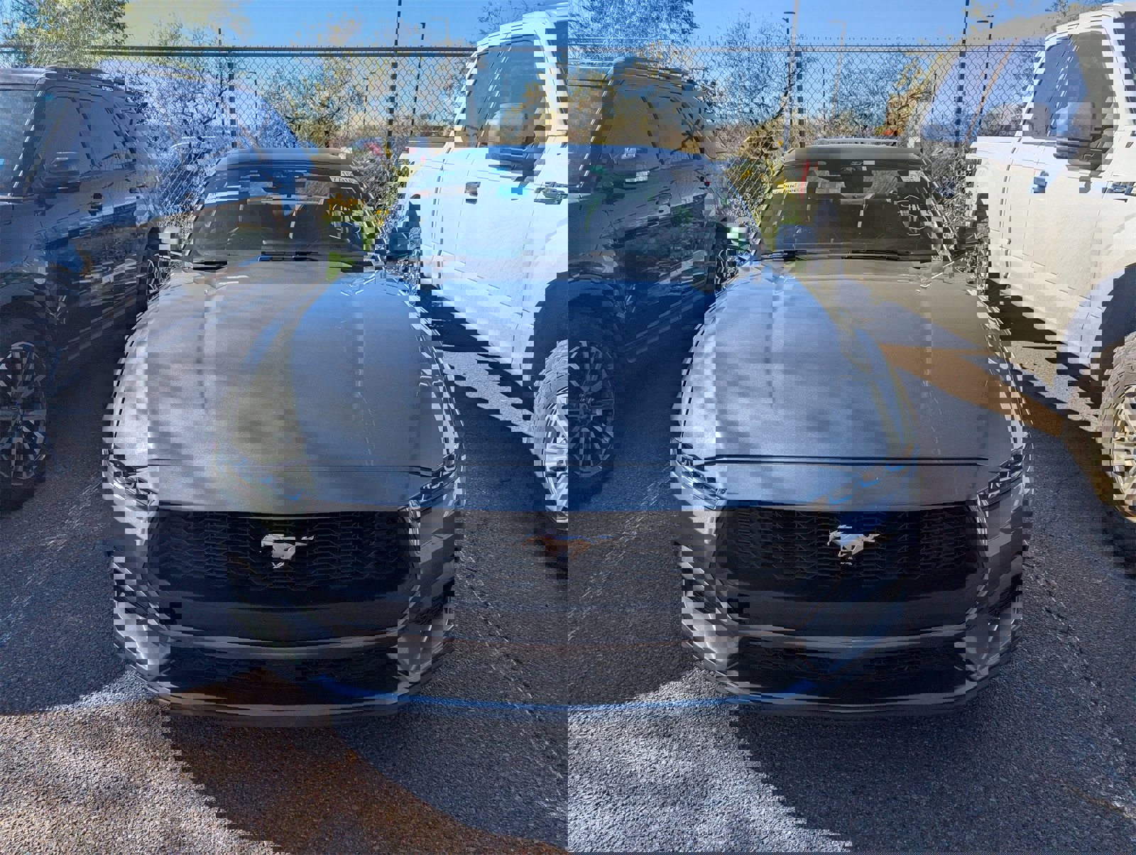 Certified 2024 Ford Mustang Ecoboost image 2