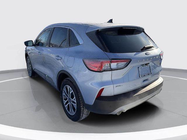 Certified 2022 Ford Escape SEL image 3