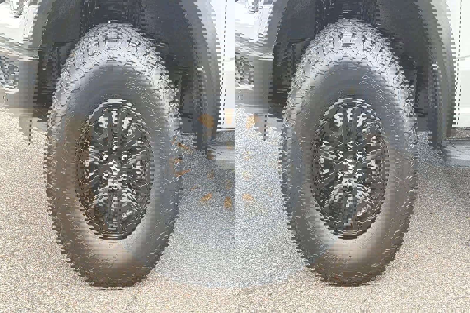 Certified 2024 Ford F150 Raptor image 26