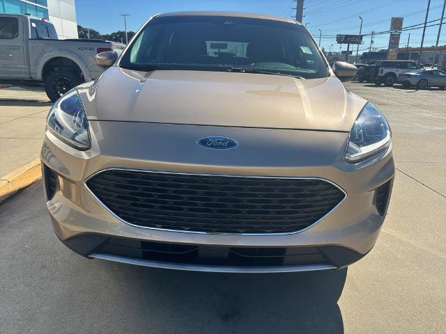 Certified 2020 Ford Escape SE image 8