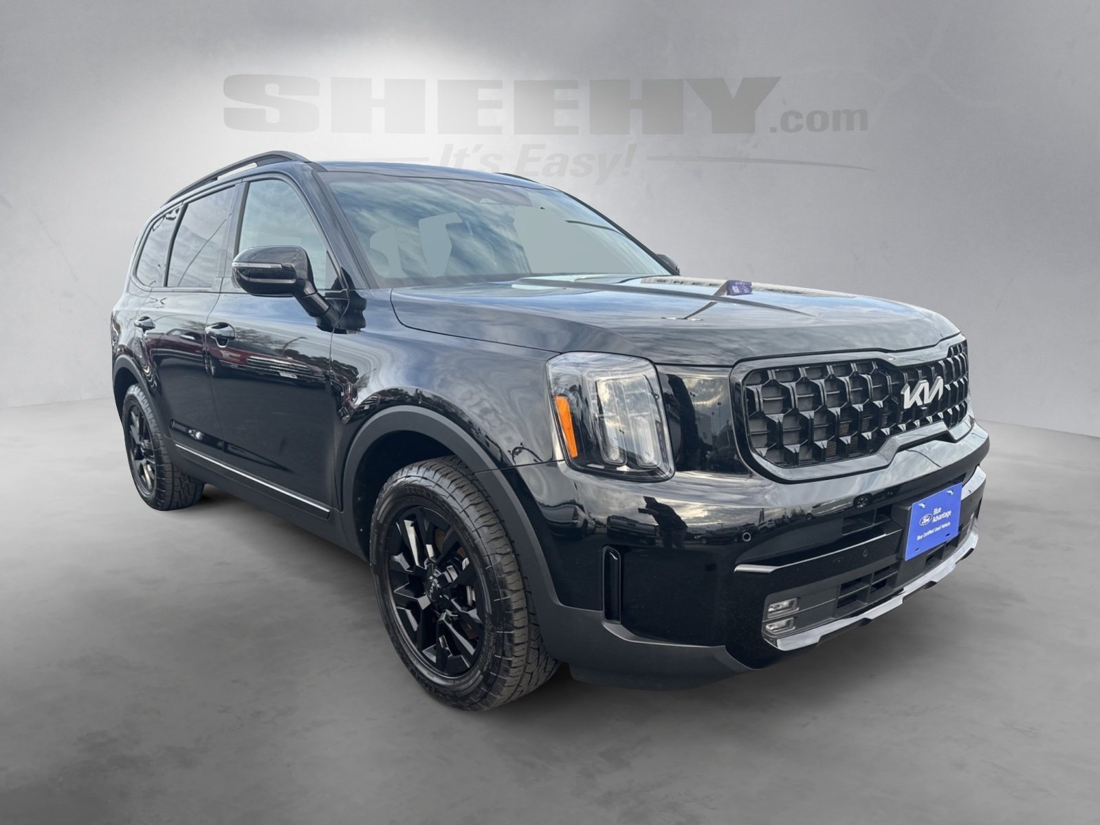 Used 2024 Kia Telluride SX X-Pro image 2