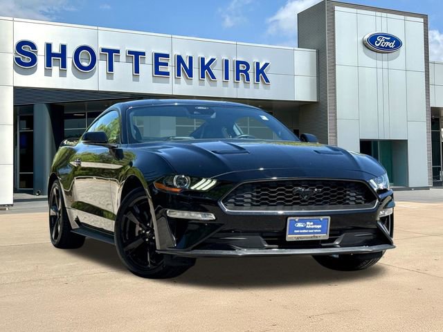 Certified 2023 Ford Mustang Premium w/ Equipment Group 201A RWD image 1