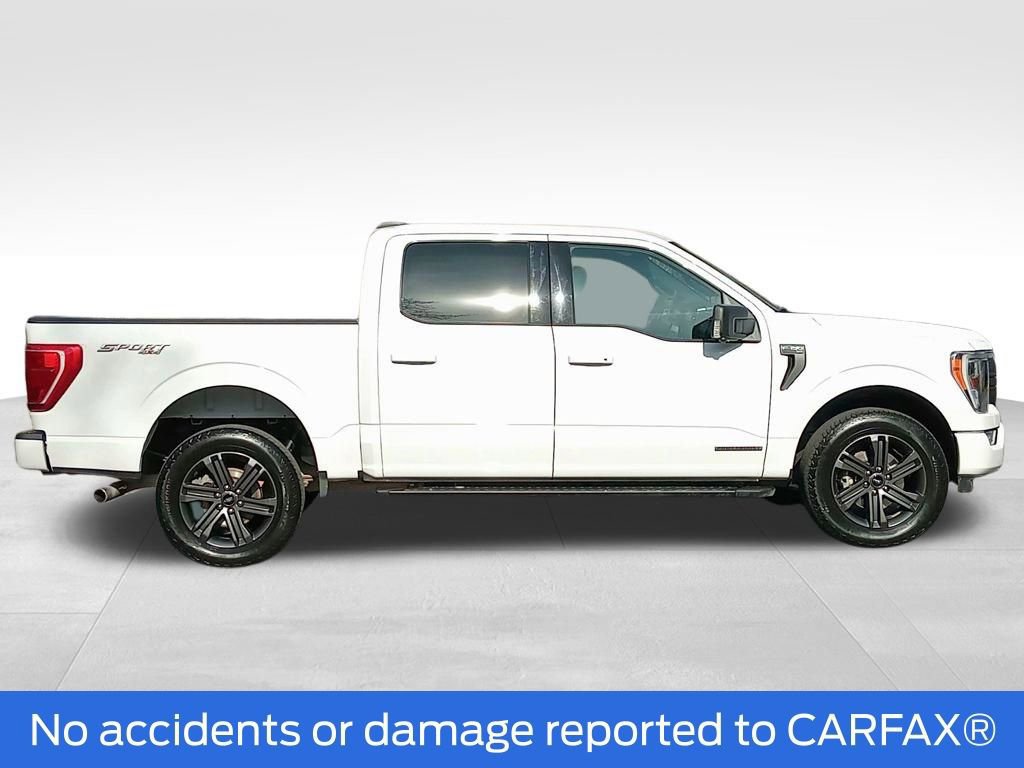 Certified 2023 Ford F150 XLT w/ Equipment Group 302A High image 2