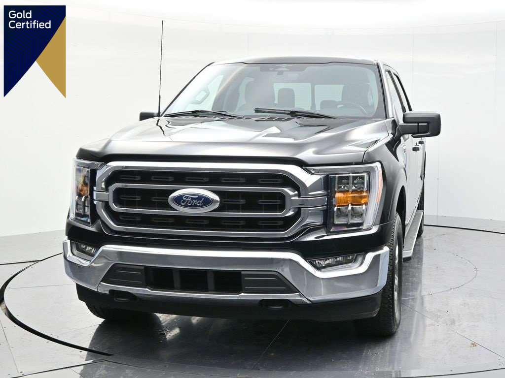 Certified 2023 Ford F150 XLT w/ Equipment Group 302A High image 1