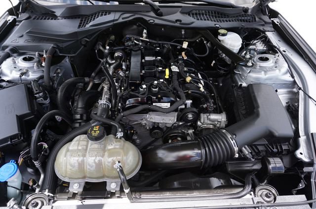 Certified 2023 Ford Mustang Convertible w/ Equipment Group 101A RWD image 13