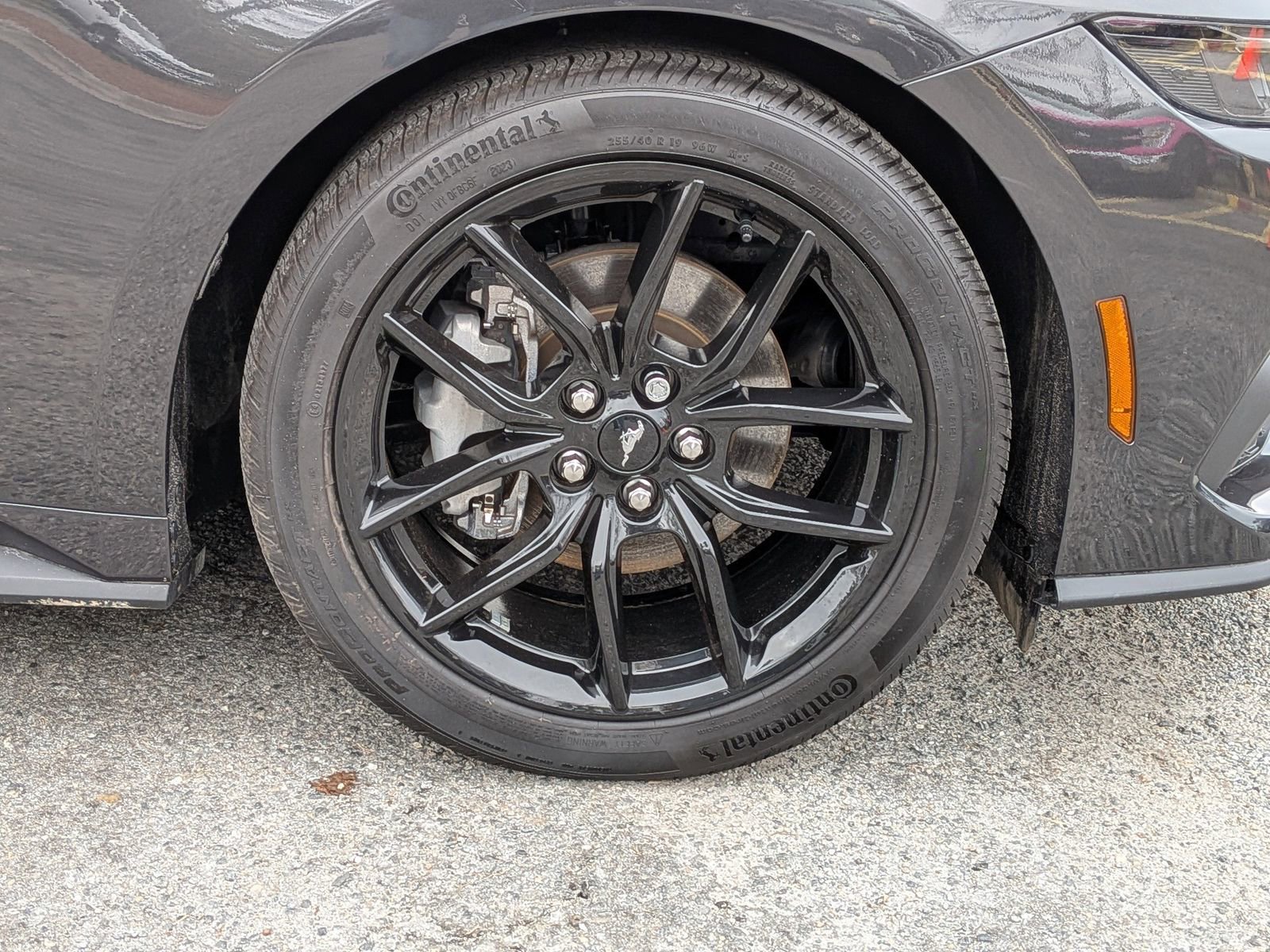 Certified 2024 Ford Mustang Premium image 12