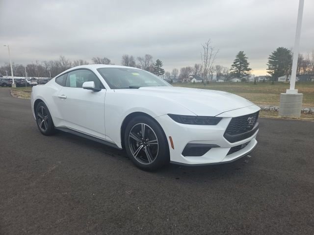 Certified 2025 Ford Mustang Premium image 5
