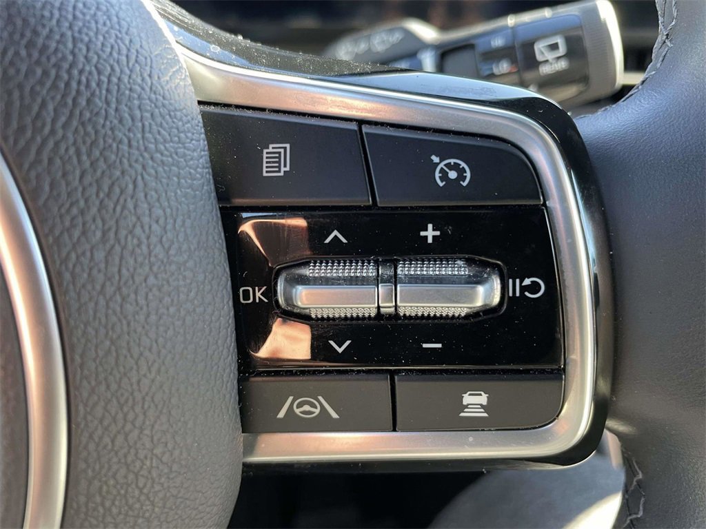 Used 2024 Kia Carnival SX Prestige image 27