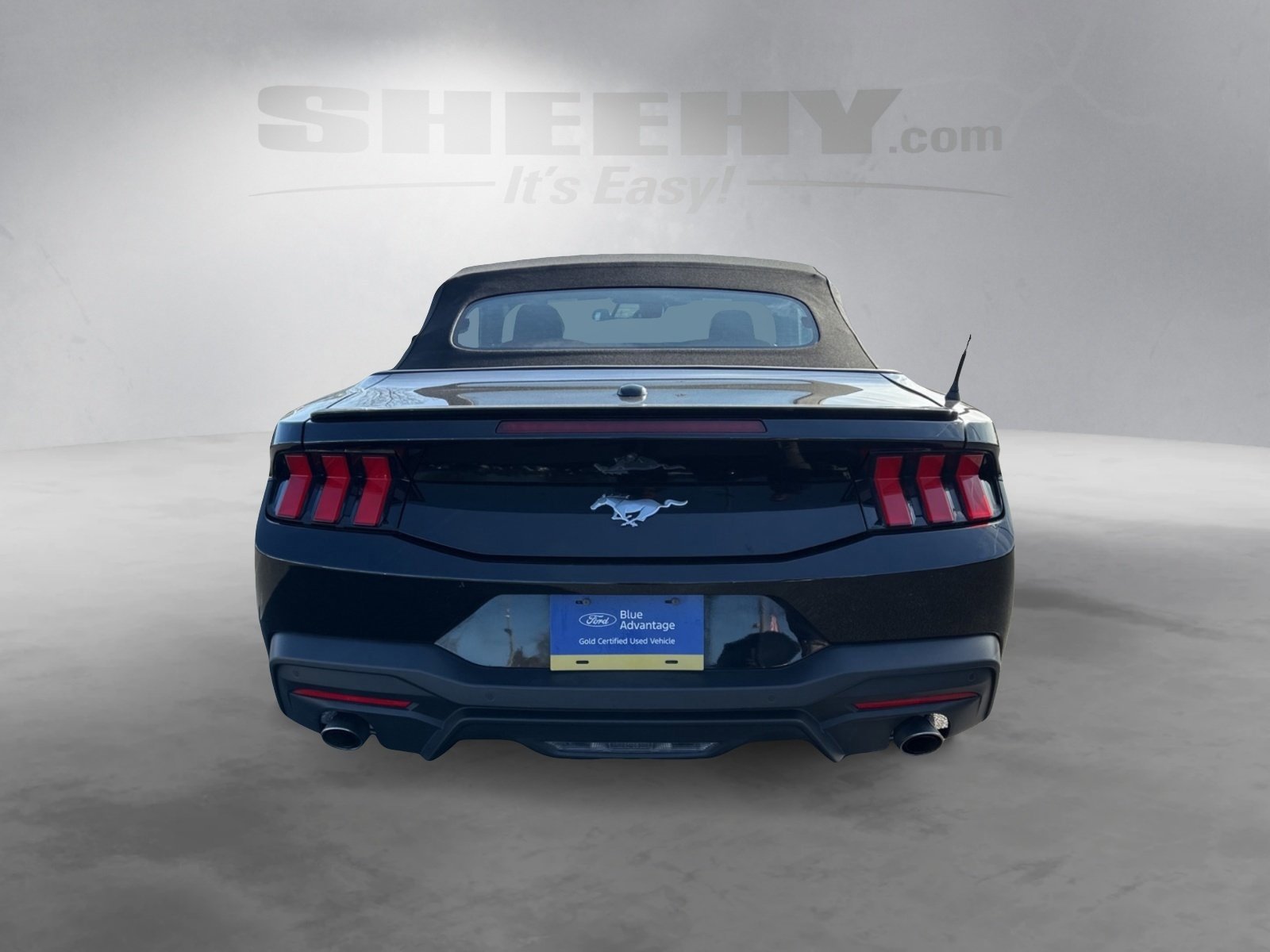 Certified 2024 Ford Mustang Premium image 4