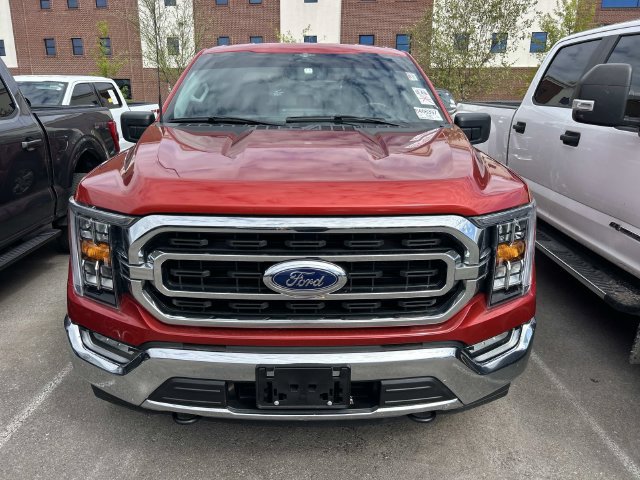 Certified 2023 Ford F150 XLT w/ Equipment Group 302A High AWD/4WD image 2