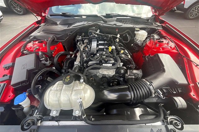 Certified 2023 Ford Mustang Premium image 11