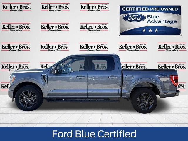 Certified 2023 Ford F150 XLT w/ Equipment Group 302A High image 2