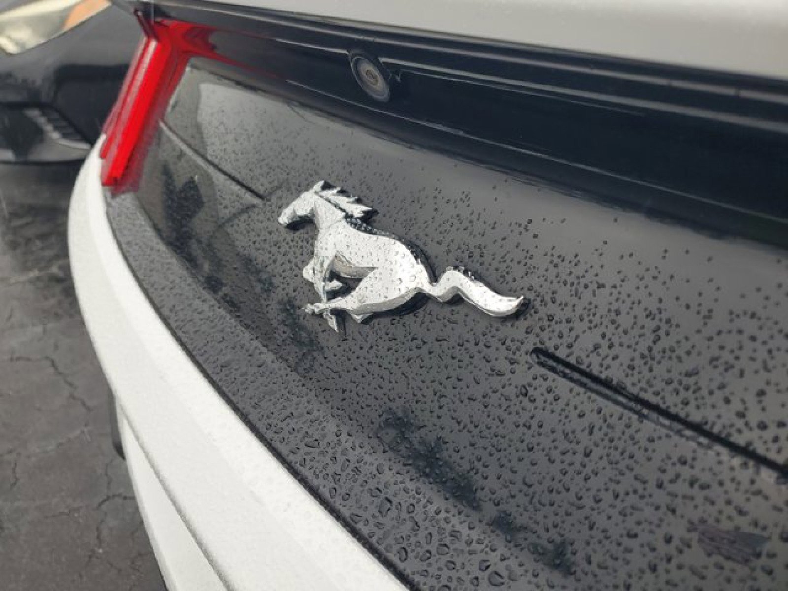 Certified 2019 Ford Mustang Premium image 10