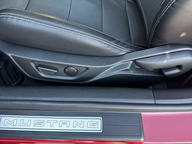 Certified 2023 Ford Mustang GT Premium w/ Mustang Nite Pony Package RWD image 12