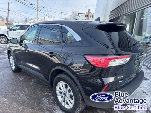 Certified 2022 Ford Escape SE w/ Convenience Package image 8