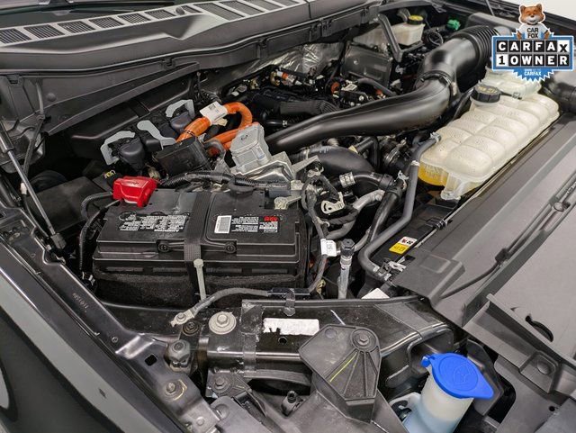 Certified 2024 Ford F150 XLT w/ Equipment Group 303A High image 30