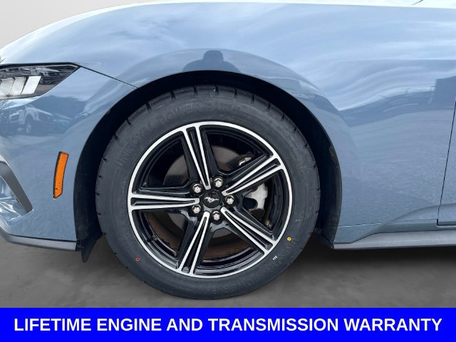 Certified 2024 Ford Mustang Premium RWD image 11