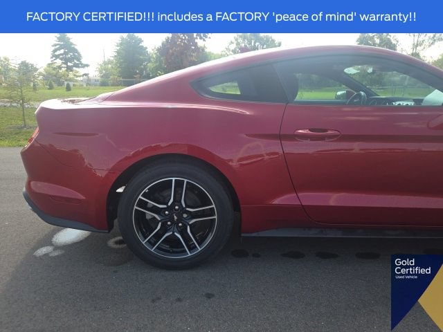 Certified 2023 Ford Mustang Coupe w/ Equipment Group 101A RWD image 9