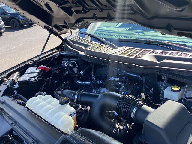Certified 2024 Ford F150 STX AWD/4WD image 10