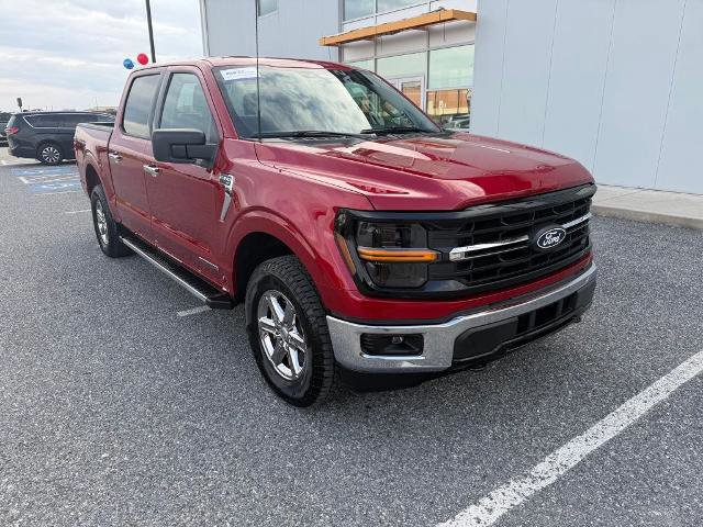 Certified 2025 Ford F150 XLT w/ Equipment Group 301A Standard image 7