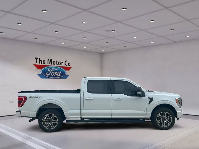 Certified 2022 Ford F150 XLT w/ Equipment Group 302A High AWD/4WD image 4