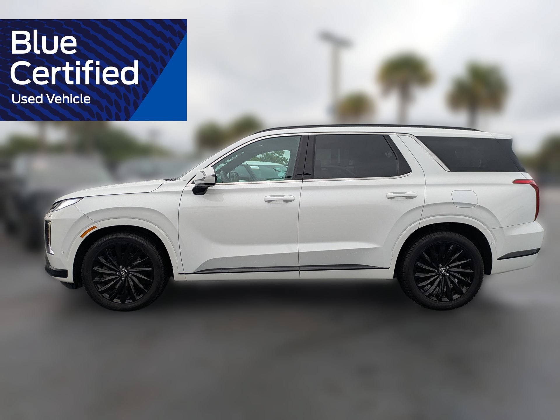 Used 2024 Hyundai Palisade Calligraphy AWD/4WD image 9