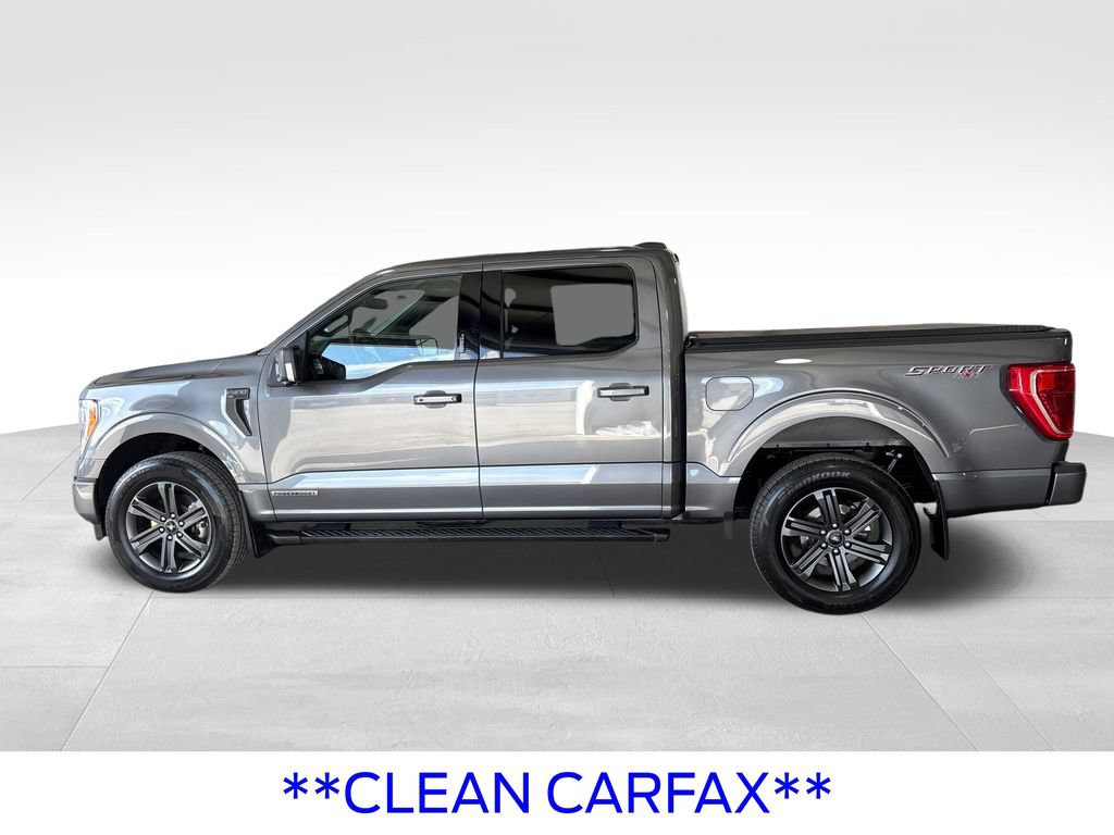 Certified 2023 Ford F150 XLT w/ Equipment Group 302A High AWD/4WD video 2