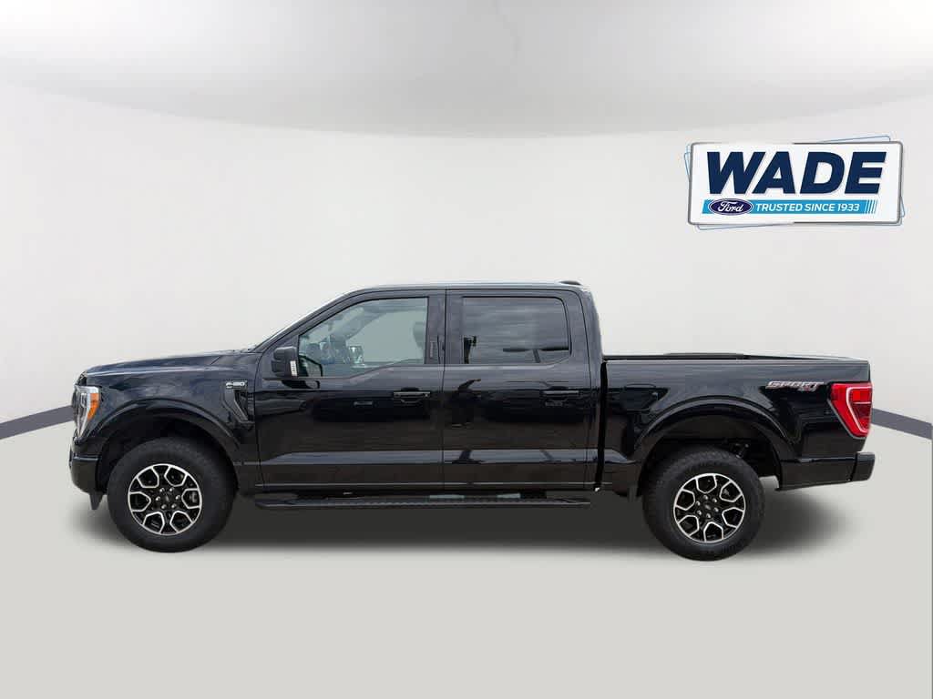 Certified 2023 Ford F150 XLT w/ Equipment Group 302A High AWD/4WD image 8