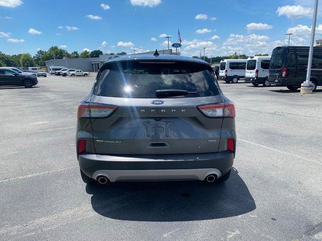 Certified 2021 Ford Escape Titanium FWD image 6