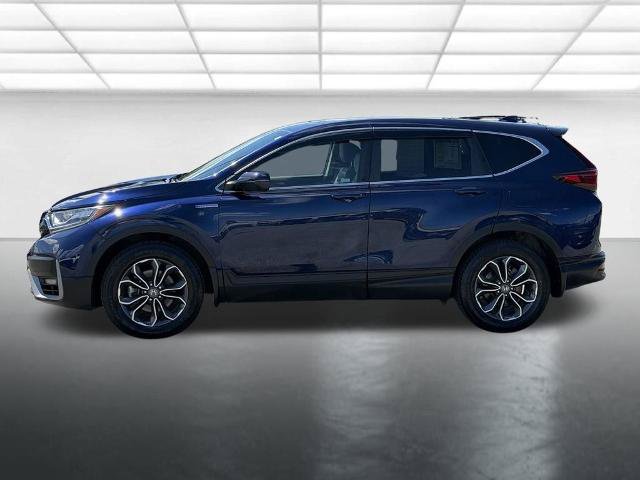 Used 2022 Honda CR-V EX-L image 7