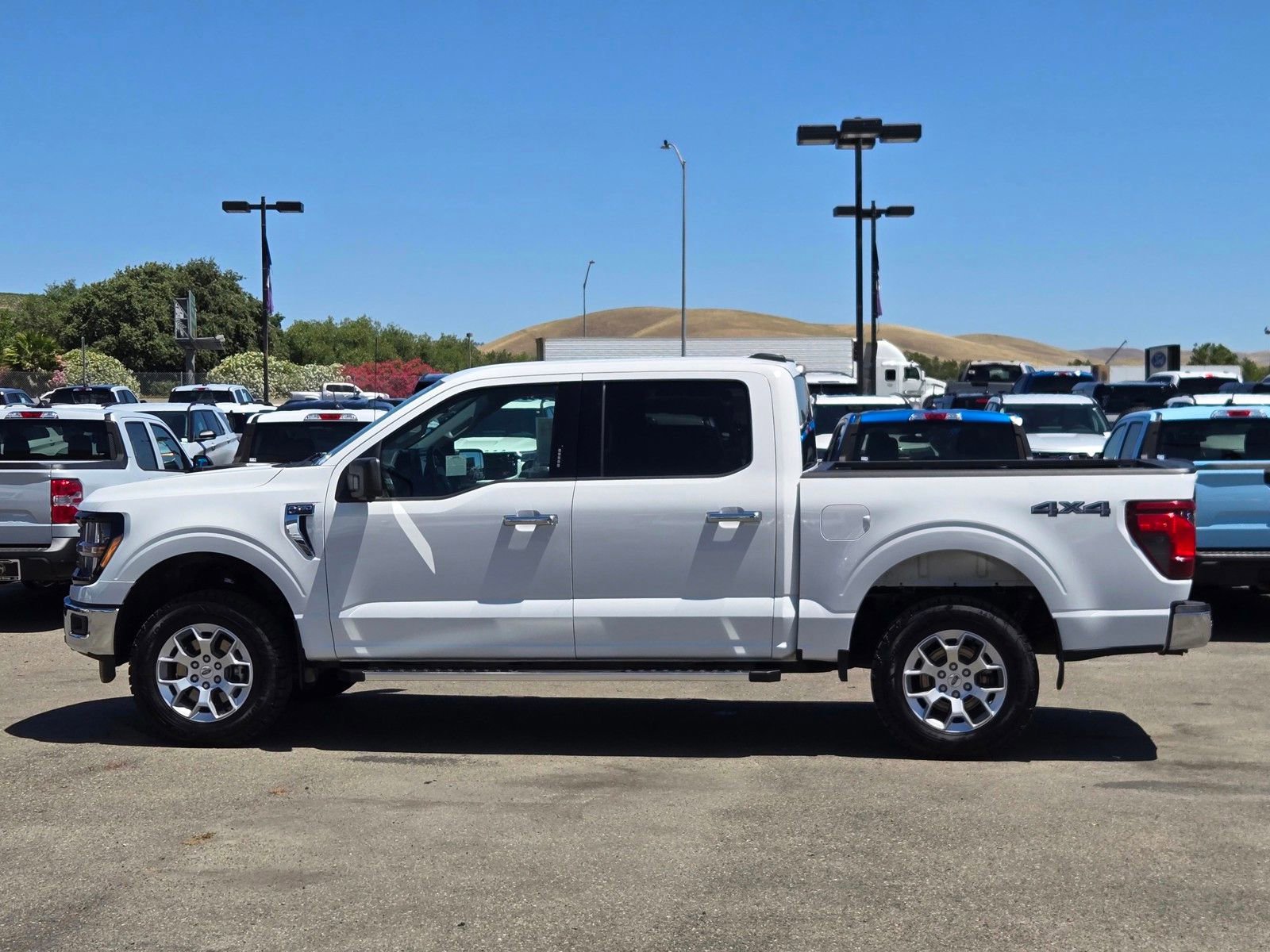 Certified 2024 Ford F150 XLT AWD/4WD image 7
