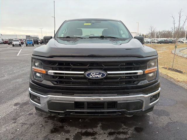 Certified 2025 Ford F150 XLT w/ Equipment Group 301A Standard image 6