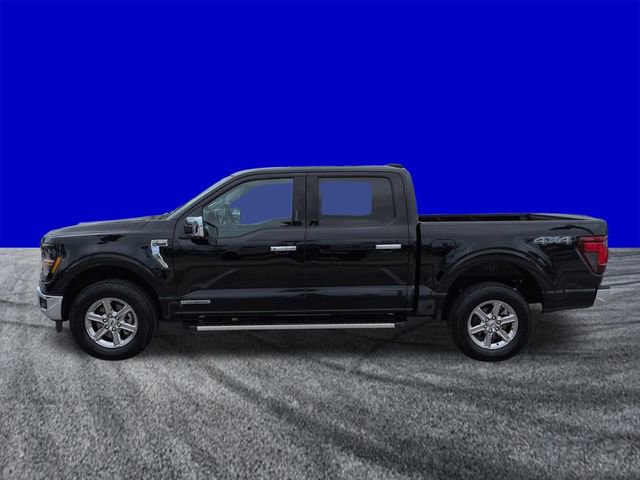 Certified 2024 Ford F150 XLT w/ Equipment Group 302A MID AWD/4WD image 2