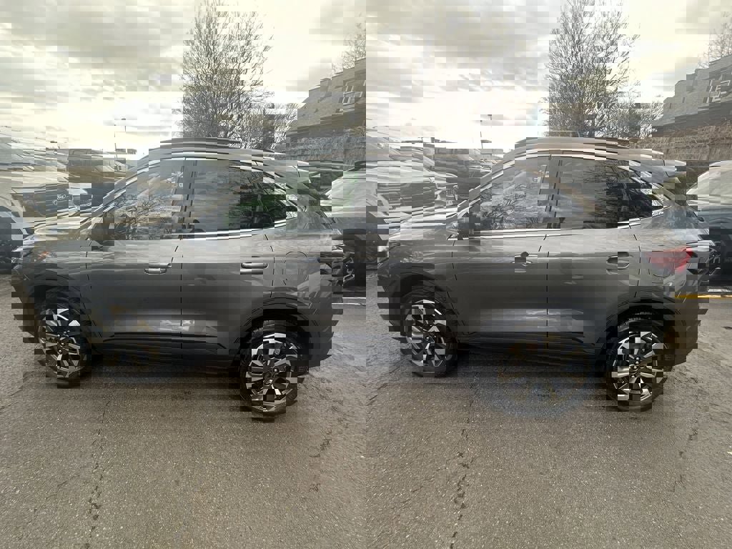 Certified 2024 Ford Escape Platinum image 8