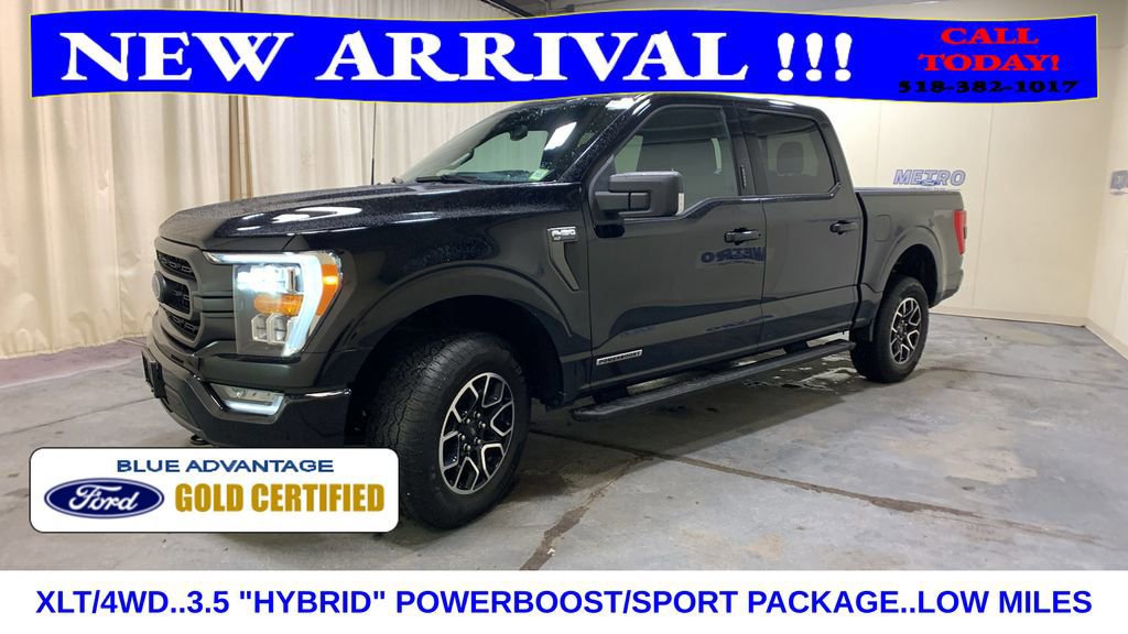Certified 2023 Ford F150 XLT w/ Equipment Group 302A High image 2