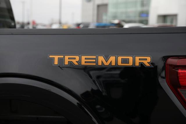 Certified 2025 Ford F150 Tremor image 17